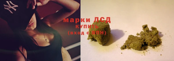 СК Вязники