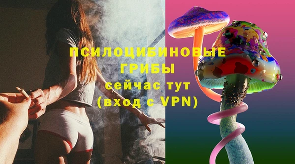 ПСИЛОЦИБИНОВЫЕ ГРИБЫ Вязьма