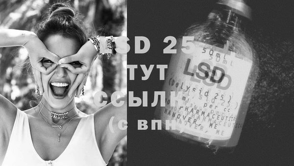 ПСИЛОЦИБИНОВЫЕ ГРИБЫ Вязьма