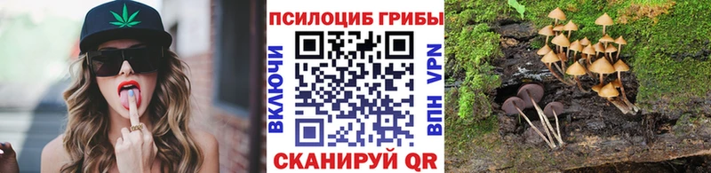Псилоцибиновые грибы GOLDEN TEACHER  продажа наркотиков  Черемхово 